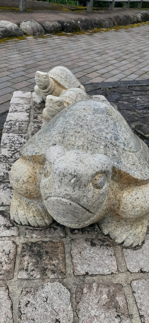 258-239(47-44)オーシャンビュー429_133146