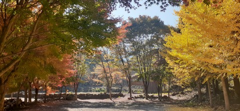 182-166(24-23)牧の原キャンプ場2回目1112_113523