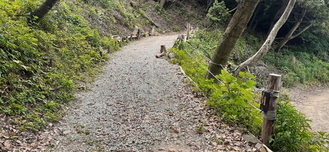 213-197(2-2)レムブランベースC527_133322