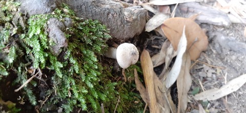 158-143(57-57)陽目の里キャンピングパーク507_140123