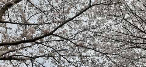 203-187(45-44)長崎鼻リゾートキャンプ場402_093740