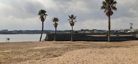 198-182(40-39)キワラビーチ225_134212