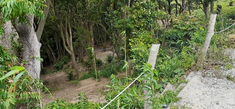 213-197(2-2)レムブランベースC527_131928