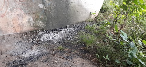 207-191(49-48)津志田河川公園乙女河原501_153451