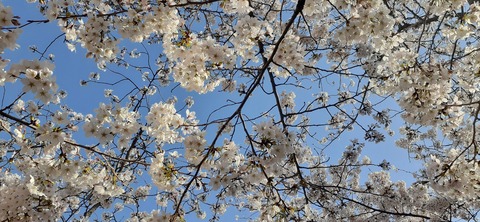 203-187(45-44)長崎鼻リゾート328_082148