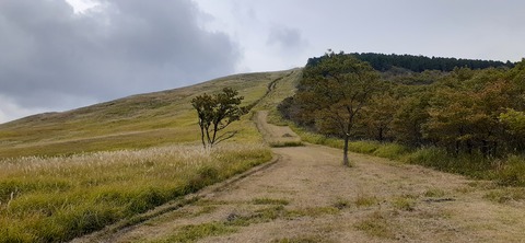 233-216(22-21)9.BASE1014_133245