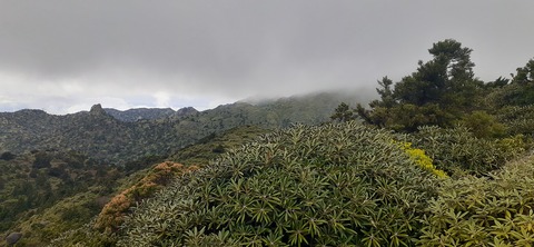 260-241(49-46)宮之浦岳淀川小屋501_153228