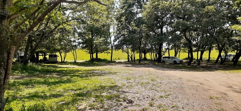 207-191(49-48)津志田河川公園乙女河原501_132328