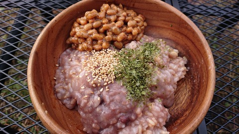 67-54(22-18)辻河原公園キャンプ場167S