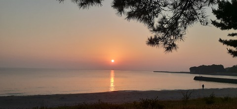 161-146(3-3)来浦キャンプ場612_051922