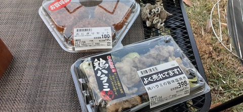 181-165(23-22)仲山城跡キャンプ場1104_163032