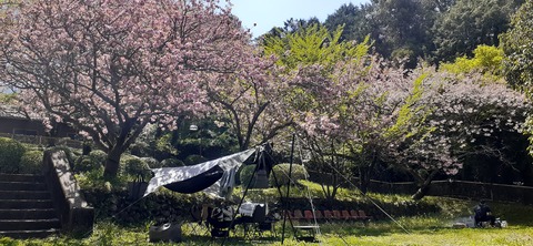 150-1345(49-49)吉井百年公園9_125353