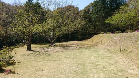 95-80(50-44)小鳥の森キャンプ場471