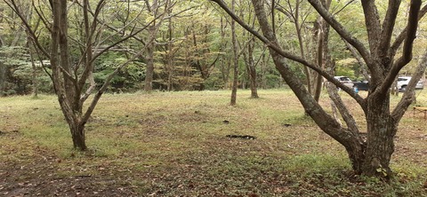 233-216(22-21)9.BASE1014_144825