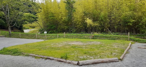 216-200(5-5)山鳥の森623_132041