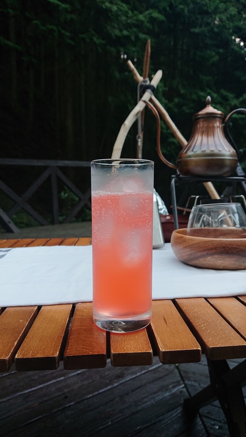 118-103(17-17)グランピングKAWASAKI２140S