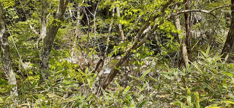 153-138(52-52)マゼノ 甲の瀬キャンプ村430_113218