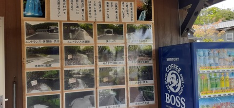 268-248(5-4)岳切渓谷キャンプ場615_133054