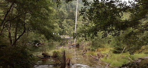 271-251(8-7) 上高地穂高岳813_145024