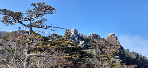 236-219(25-24)大崩山1104_093756