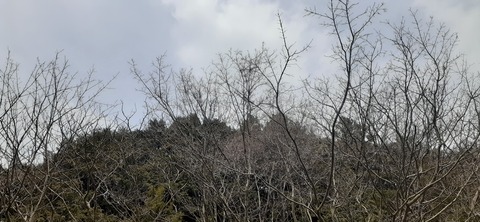 201-185(43-42)カワラテラス320_121734