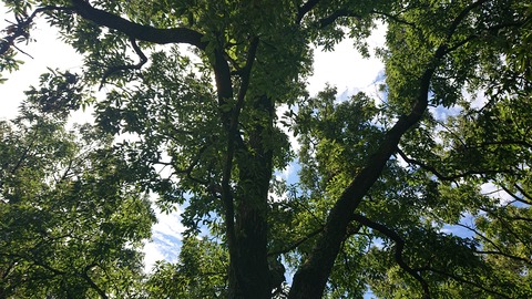 59-48(14-12)瀬の本高原オートキャンプ場531S