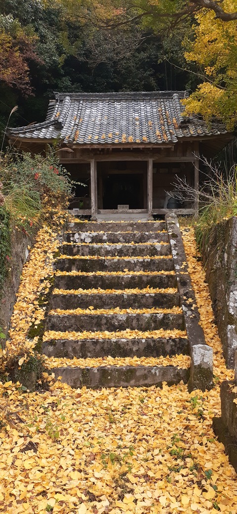 237-220(26-25)るるパーク1111_114724