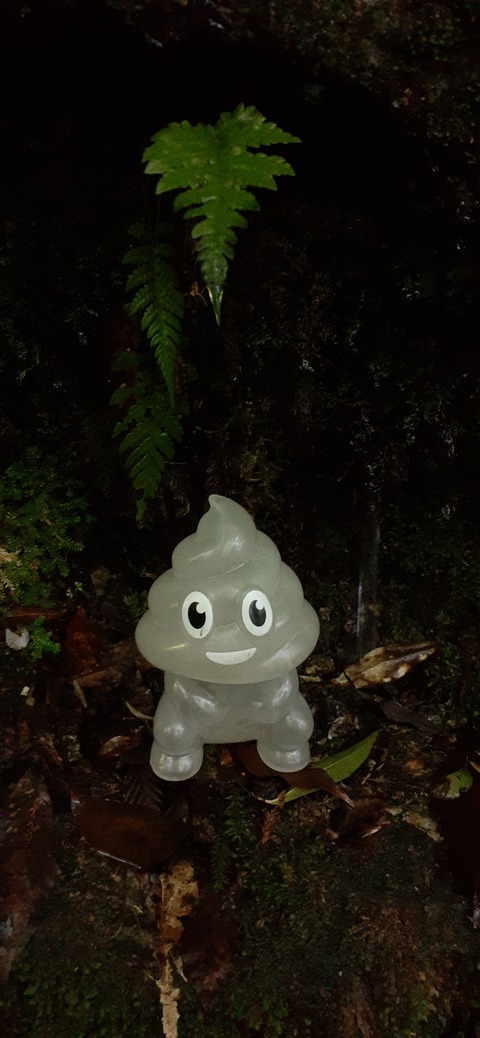 259-240(48-45)宮之浦岳新高塚小屋430_091014