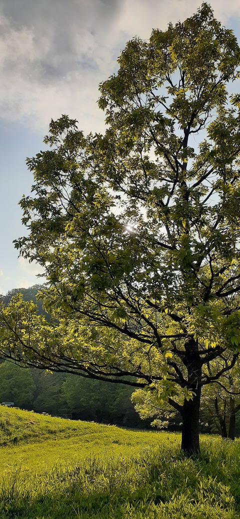 159-144(1-1)遊牧民521_173021