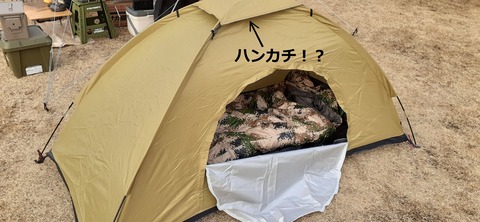 194-178(36-35)ゴンドーシャロレー⑨211_161104R