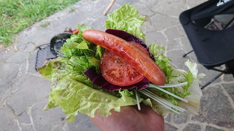 91,92-77,78(46,47-41,42)阿武川河川公園210S