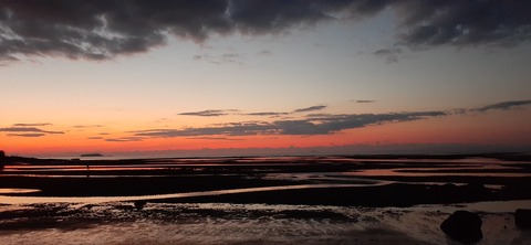 198-182(40-39)キワラビーチ226_062130