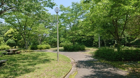 49-39鯛生金山キャンプ場280