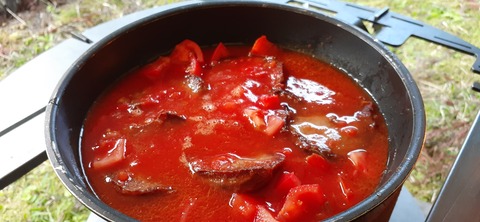 211-195(53-52)猿ヶ城キャンプ場505_181032