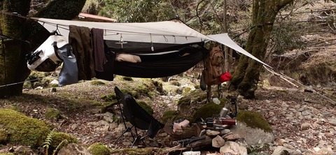 202-186(44-43)八木山渓流公園325_133146