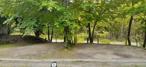 216-200(5-5)山鳥の森623_132227