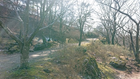 88-74(43-38)昭和の森一本松サイト863