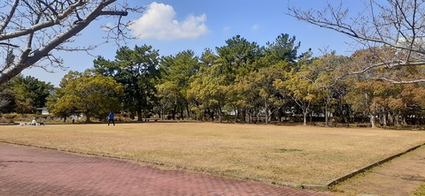 200-184(42-41)糸根地区公園キャンプ場319_142020