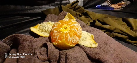 131-116(30-30)大島津和瀬キャンプ場211342