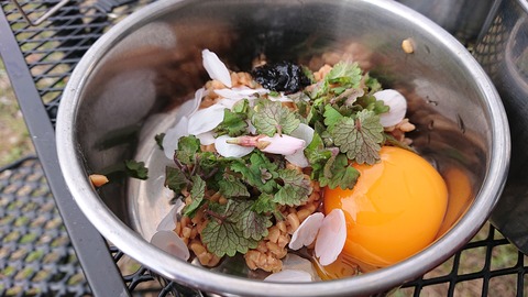 42-34家族旅行村安心院145S