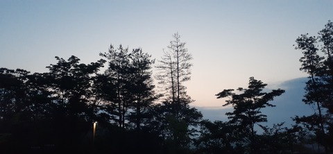 268-248(5-4)岳切渓谷キャンプ場616_044611