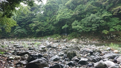 55-44(10-8)カワセミ公園984S