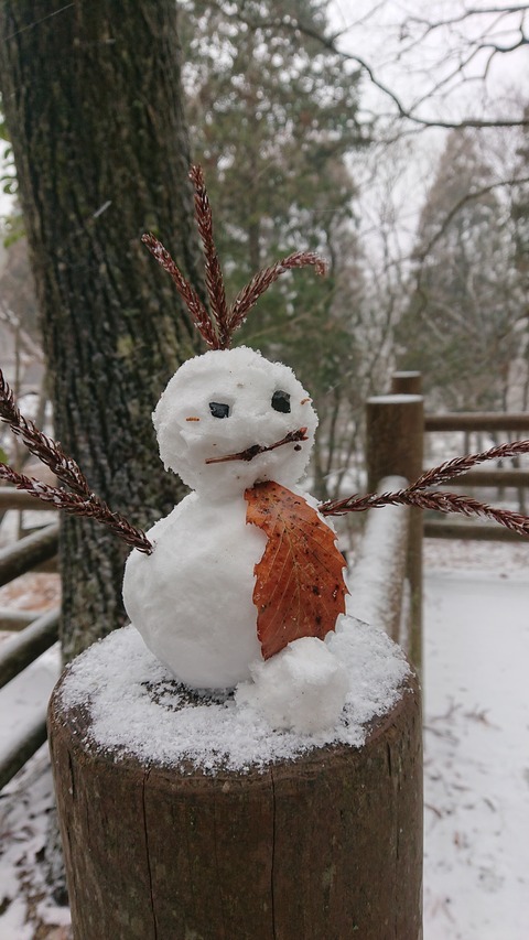 78-63(33-29)北山キャンプ場76S