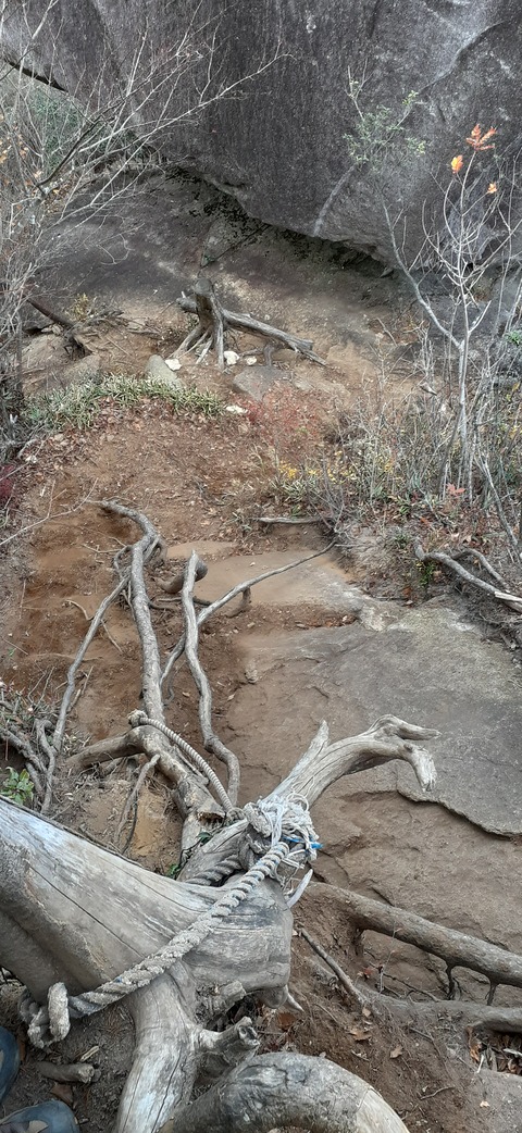 236-219(25-24)大崩山1104_144526