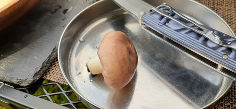 159-144(1-1)遊牧民521_144719