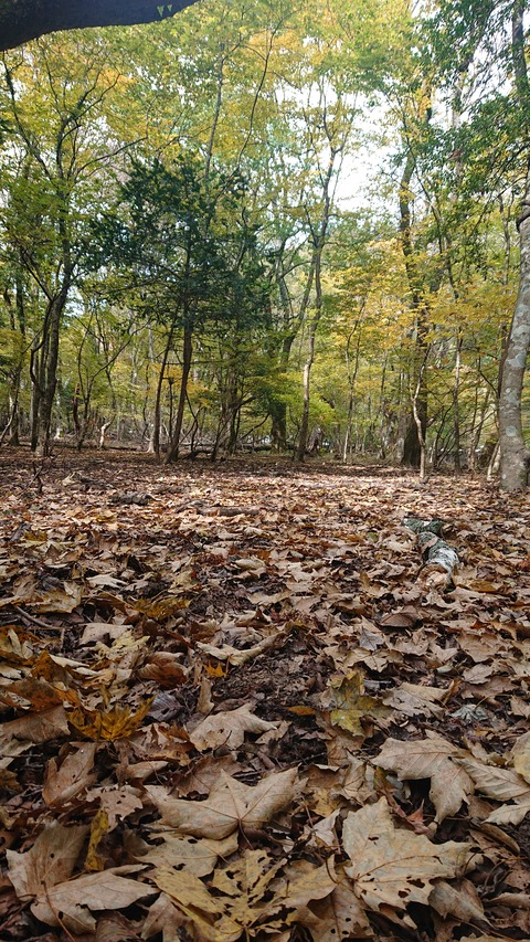 123-108(22-22)カナディアンビレッジ956