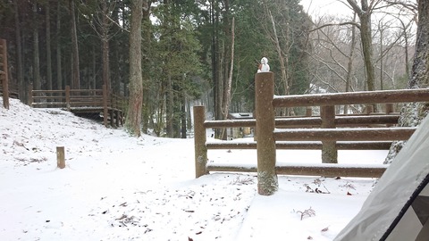 78-63(33-29)北山キャンプ場99S