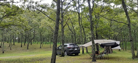 172-157(14-14)くじゅう自然動物園903_123055R
