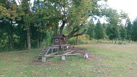 125-110(24-24)キャンプ&農園玖珠の杜203