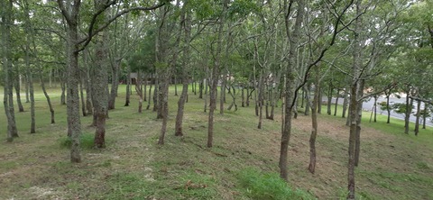172-157(14-14)くじゅう自然動物園904_062343